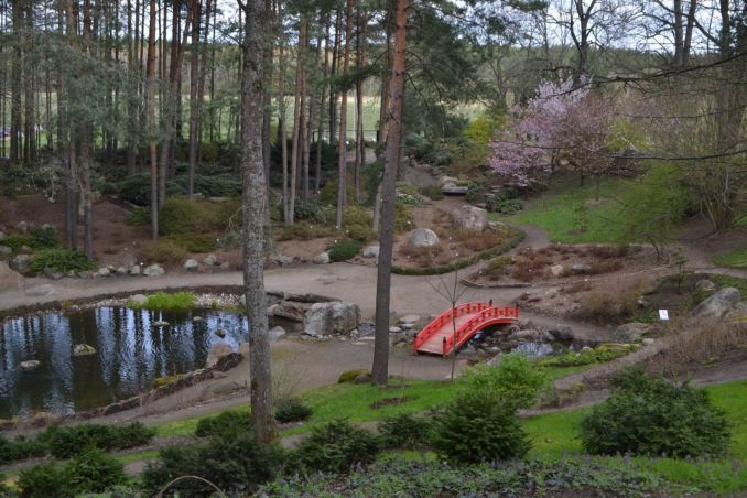Vilniaus universiteto Botanikos sodo japoniškas sodas.